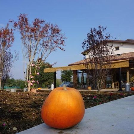 Agriturismo Campogrande Carpaneto Piacentino Экстерьер фото